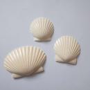 【別発送商品】カービング: シェル: アイボリー